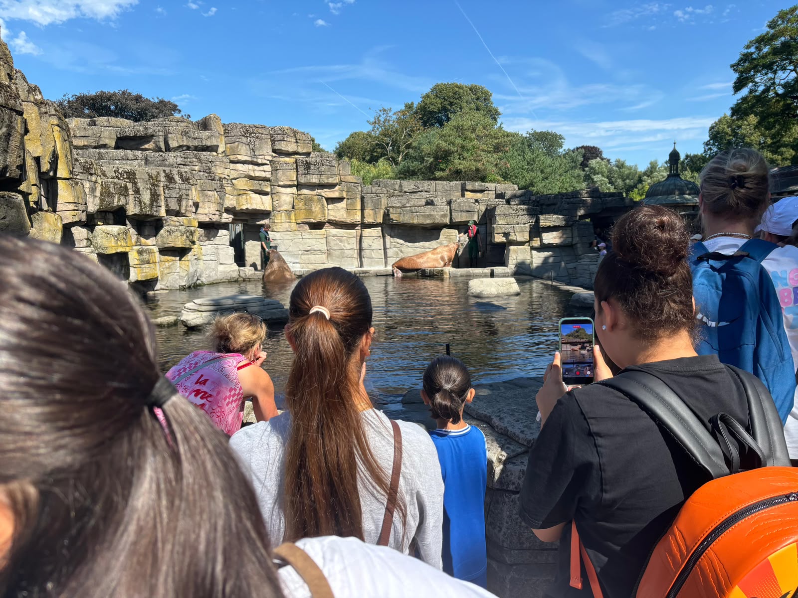 Ein erlebnisreicher Tag im Tierpark Hagenbeck - Bild 6